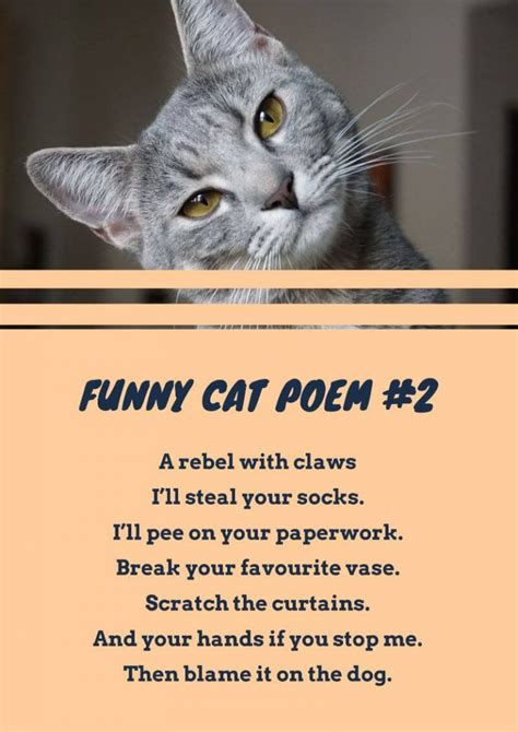 Funny Cat Poems Funny Cat Poems That Ryme With Cat Navarrete Sannater