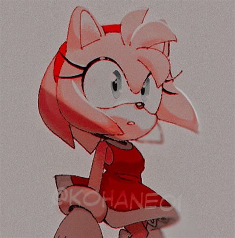 ︎ 𝖠𝐌𝐘 𝐑𝐎𝐒𝐄 [ 𝐈𝐂𝐎𝐍𝐒 ] amy rose amy the hedgehog shadow and amy