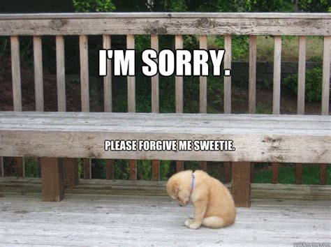 Im Sorry Please Forgive Me Sweetie Sorry Quickmeme