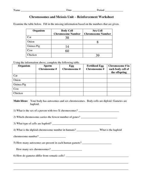 This worksheet was created for an introductory biology class because they struggled with the. 13 Best Images of Genetics And Meiosis Worksheet - Meiosis ...