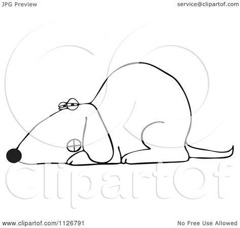 Cartoon Of An Outlined Growling Dog Laying Down Royalty
