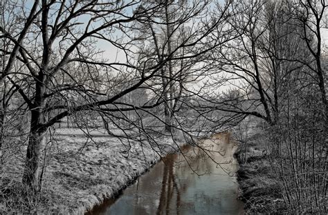Free Images Landscape Tree Nature Forest Branch Snow Cold