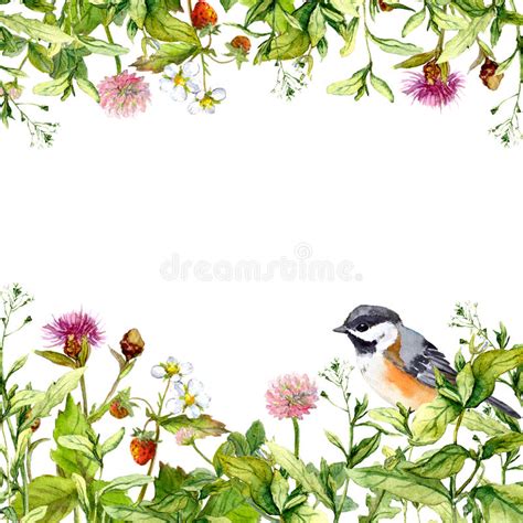 You have five products in the format eps & jpg. Blossom Flowers, Wild Grass, Spring Herbs, Bird. Floral ...
