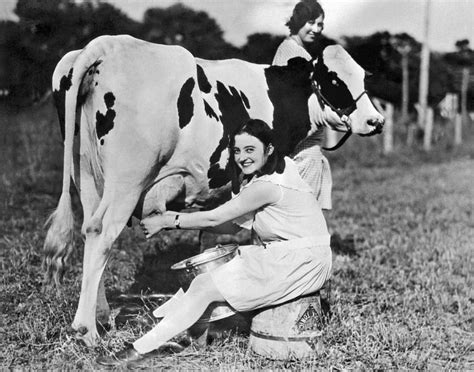 Young Woman Milking A Cow Photograph By Underwood Archives Fine Art