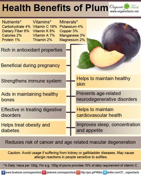10 Health Benefits Of Plums In 2020 Fruit Health Benefits Plum