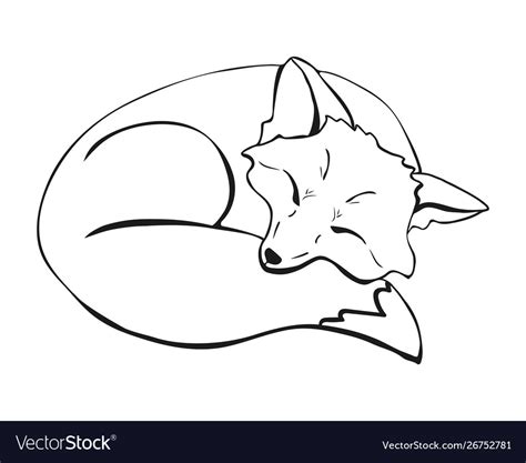 Sleeping Fox Drawing