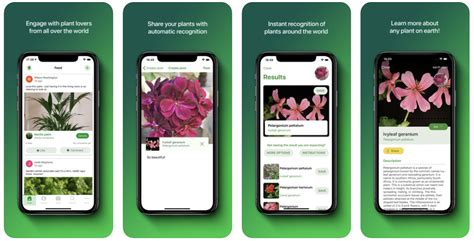 This artificial intelligence is able to identify any plant after its picture. Top 7 plant identification apps for Android and iOS
