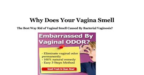Why Does Your Vagina Smelldocx Docdroid