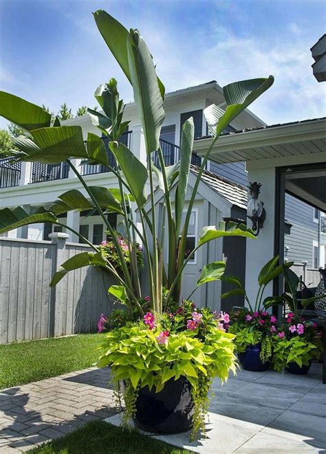 Pick the right plant for the right spot. florida condo landscaping 10 best ideas - Florida luxury ...