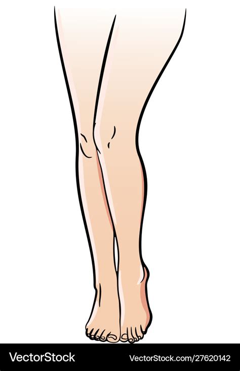 Female Legs Icon Elegant Attractive And Slim Body Vector Image