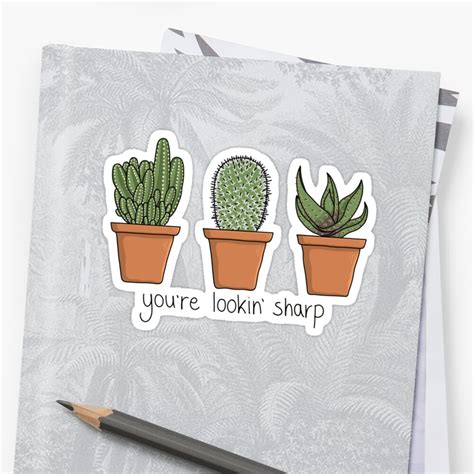 A sharp way to shape up your space! "You're lookin' sharp - Three cute cactus in pots with a ...