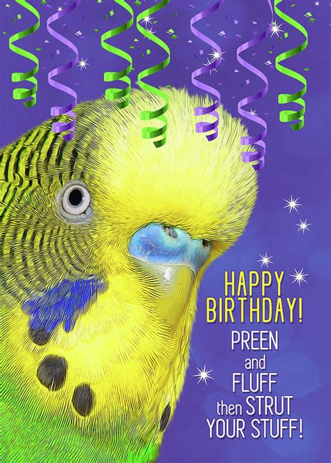 Happy Hatchday Cossie Parrot Forum 🦜 Parrot Owners Community