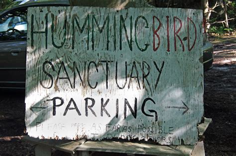A Long Island Summer In Pictures THE BAITING HOLLOW HUMMINGBIRD SANCTUARY