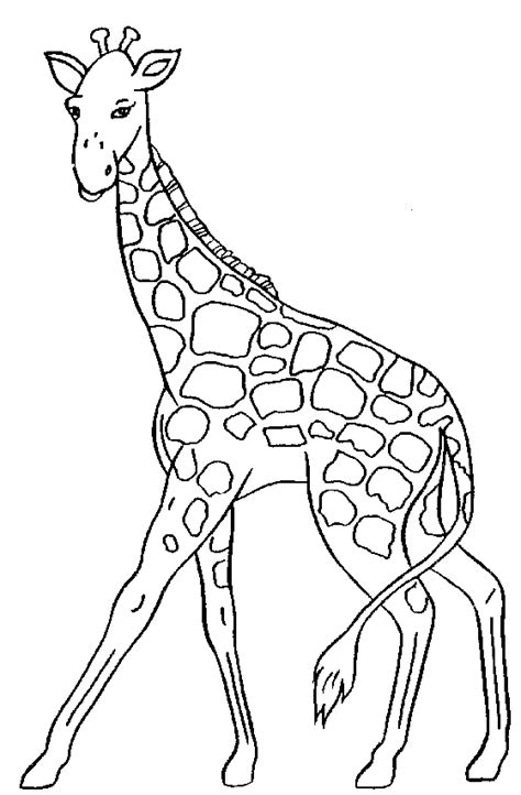 Giraffe printable outlines download area. Giraffe Clipart - Clipartion.com