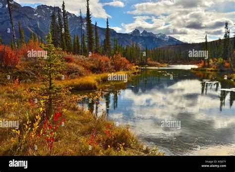 An Autumn Landscape Image Taken In Jasper National Park With The
