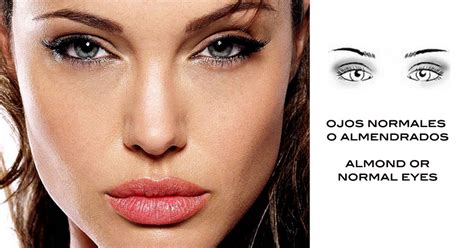 Tipos de ojos, Eyes shapes - Silvia Quirós