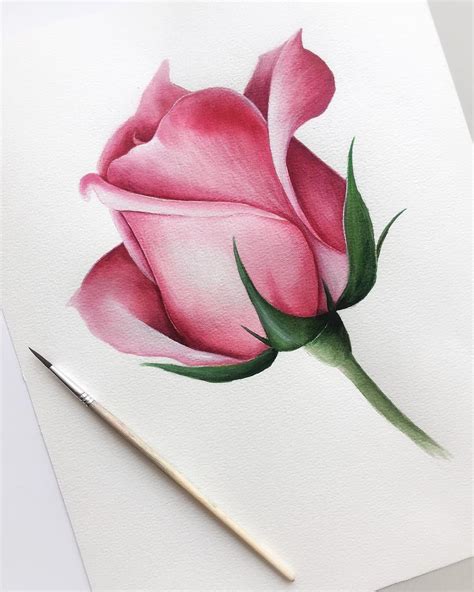 Dry Brush Watercolor Technique Pencil Drawings Of Flowers Realistic