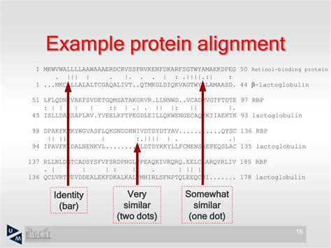 Ppt Pairwise And Multiple Sequence Alignment Powerpoint Presentation