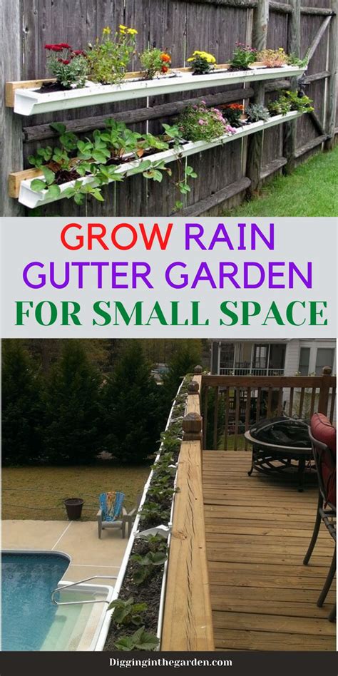 Grow A Small Rain Gutter Garden Creative Gutter Ideas Gutter Garden