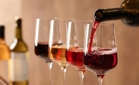 와인의 역사와 프랑스 지역별 와인 특징 라플란드코리아 한국 공식 스토어