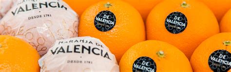 Les Oranges De Valencia Les Meilleures Du Monde Valencia Orange