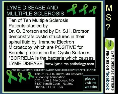 Lyme Disease Posters Ms Order A Free Kit And Send Sample To Igenex