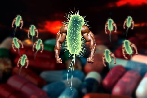 ¡contagio Comunitario Por Bacterias Resistentes A Los Antibióticos El Firme De La Salud