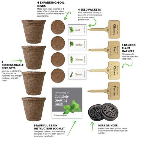 Guide To Growing Herbs Ultimate Herb Garden Ideas