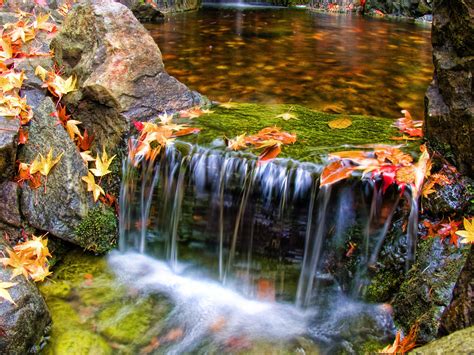 Colorfall Wallpaper Waterfalls Nature Wallpapers In  Format For Free