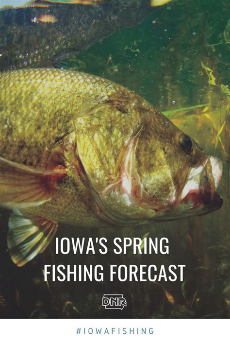 Catch The Big One With Our Spring Fishing Forecast Iowa Dnr