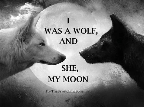 Pin By Carol Crandall On Witchy Woman Wolf Quotes Wolf Wolf Love