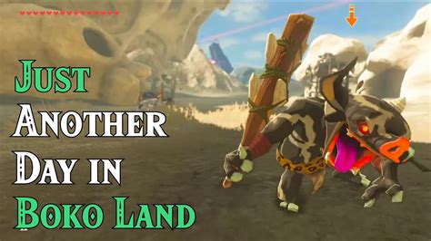 4 Bokoblins Elemental Battle In Zelda Breath Of The Wild Youtube