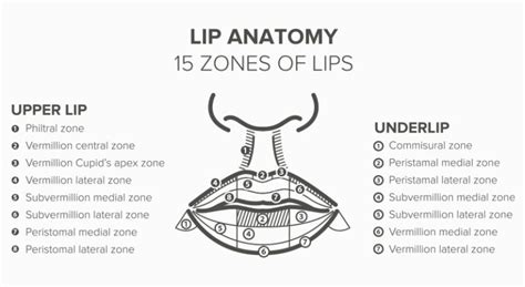 Lip Augmentation Best Lip Injections Virginia Washington Dc Maryland