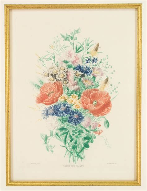 French Botanical Print From Ofleury On Ruby Lane