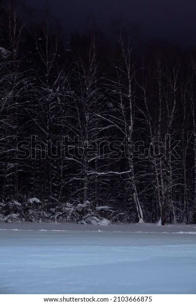 668 Creepy Snowy Forest Images Stock Photos And Vectors Shutterstock