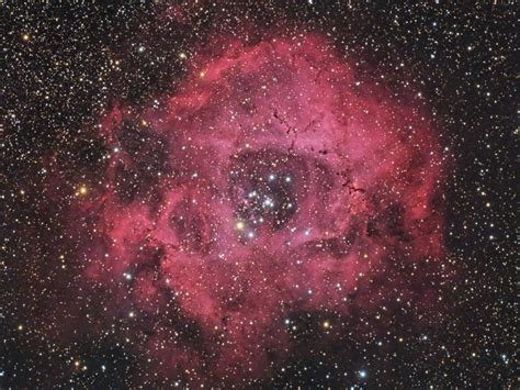 Rosette Nebula In Hargb Astrodoc Astrophotography By Ron Brecher