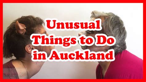 5 Unusual Things To Do In Auckland New Zealand Travel Guide Youtube