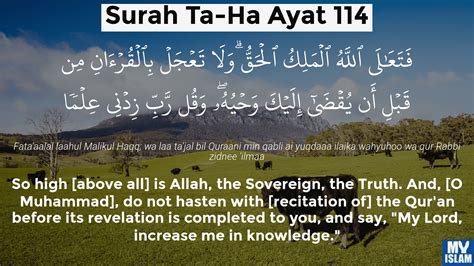 Surah Ta Ha Ayat 114 20 114 Quran With Tafsir My Islam 49518 Hot Sex