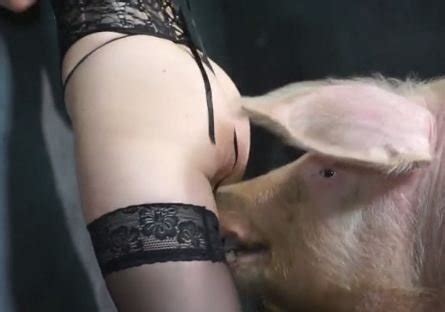 Yasmin Pig Sex Telegraph