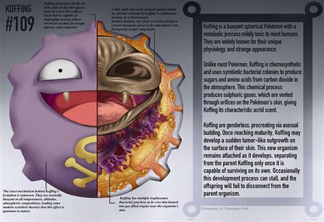 Anatomias Detalhadas De Pokémons