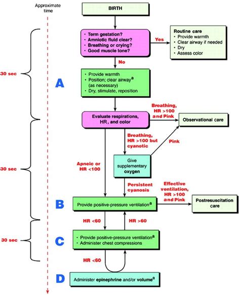 Figure 1 2005 American Heart Association Aha Guidelines For