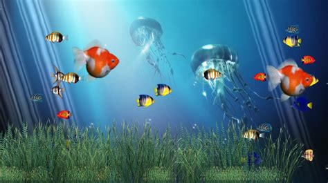49 Animated Fish Tank Desktop Wallpaper On Wallpapersafari