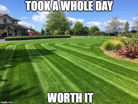 Lawn Care Memes And Jokes The Ultimate Meme Collection
