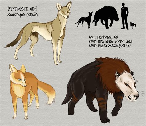 Caranoctian Canids By Viergacht On Deviantart