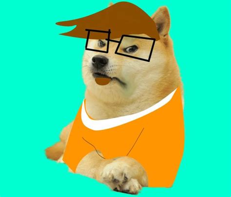Shibespark Ironic Doge Memes Know Your Meme