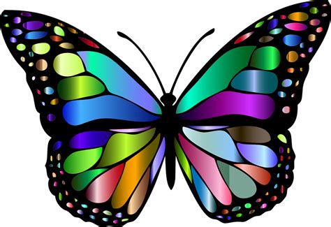Free Butterfly PNG HD Transparent Butterfly HD PNG Images PlusPNG