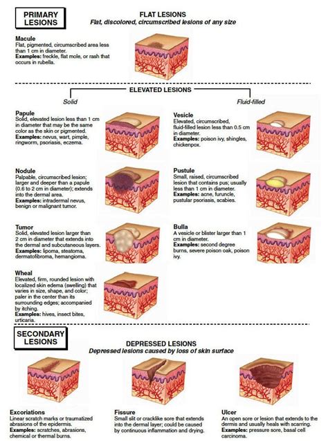 Additional Medical Terms Integumentary System Medical Terminology