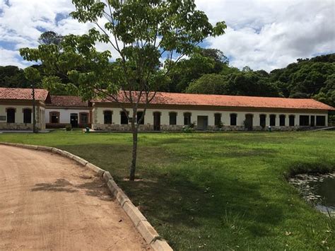 Jardim Botânico em João Pessoa- lugar lindo! - Foto de ...