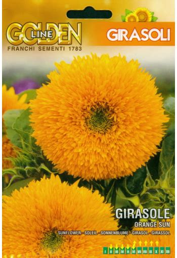 Sunflower Orange Sun Seeds Online Sale