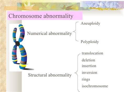 8 Chromosome Disorder
